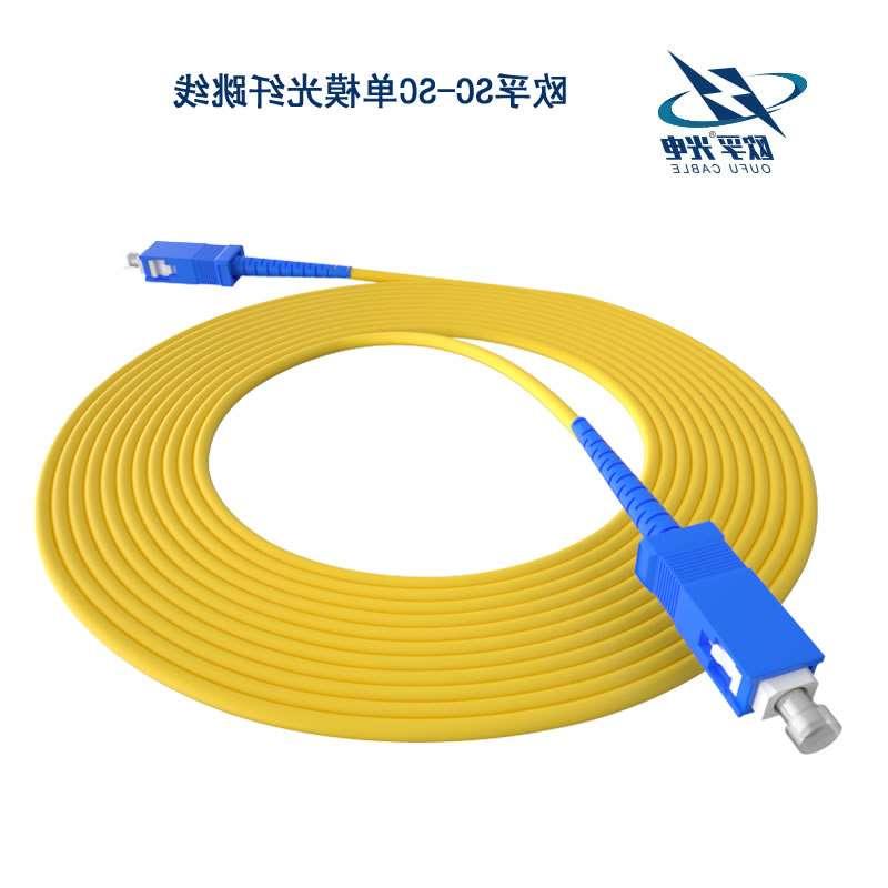 忻州市SC/PC光纤跳线
