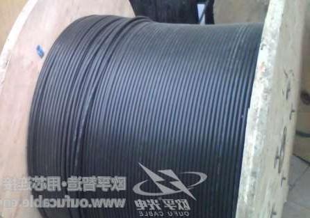 忻州市全介质自承式adss光缆护套中的AT和PE的区别
